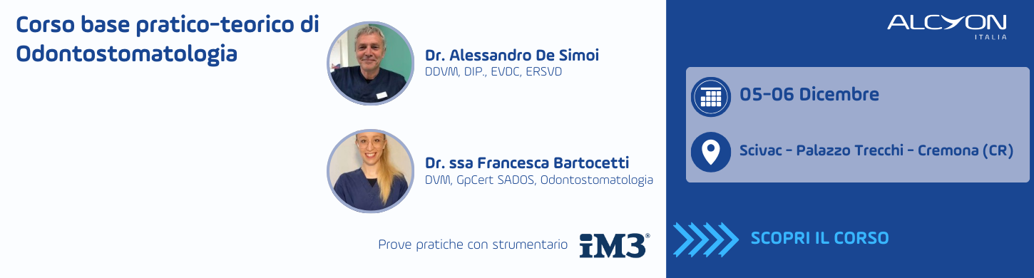 Scopri il corso